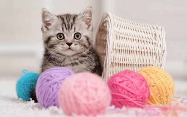 Котенок с клубочком