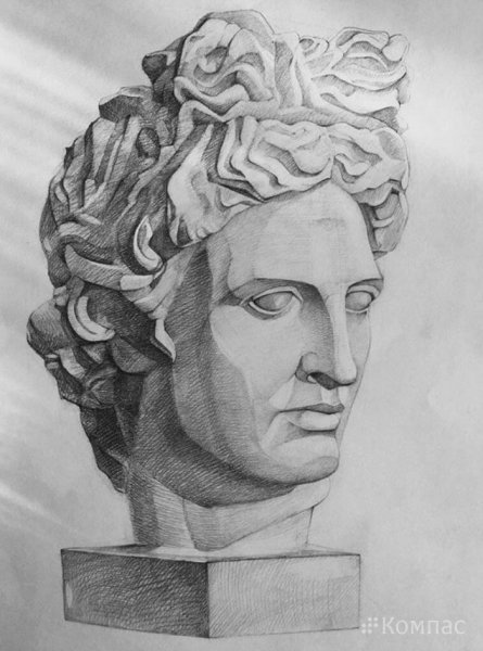 Академический портрет Аполлона анфас