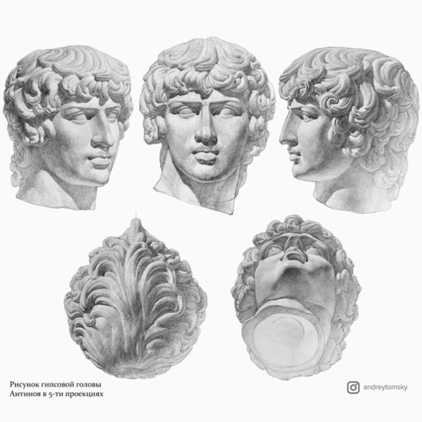 Гипсовая голова МАРХИ