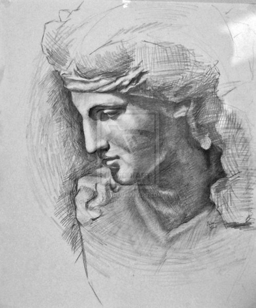 Гипсовая голова Антиноя МАРХИ