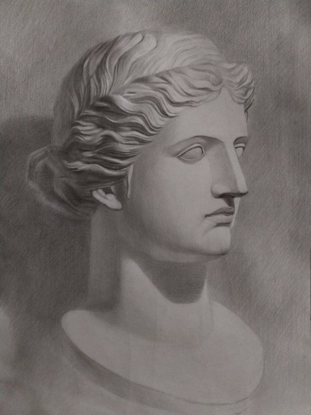 Венера Милосская голова гипс