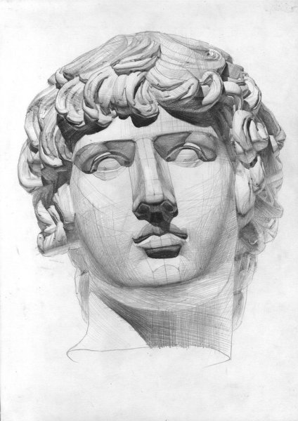 Скульптура Давида Микеланджело голова