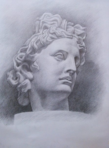 Аполлон Бельведерский голова