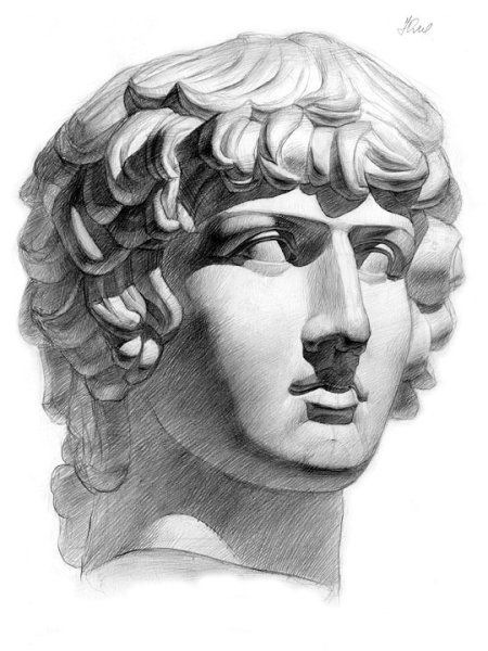 Антиной гипсовая голова МАРХИ