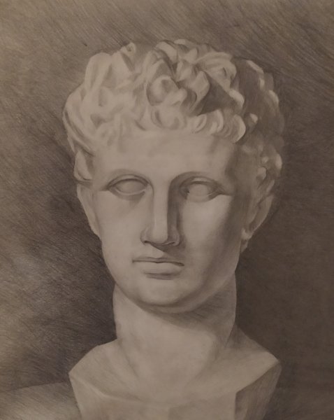 Аполлон голова гипсовая рисунок МАРХИ