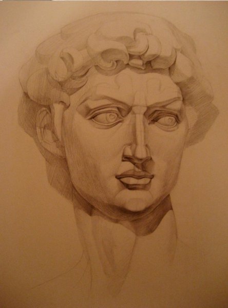 Гипсовая голова Антиноя МАРХИ