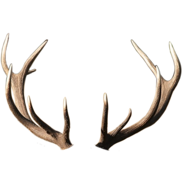 Рога на прозрачном фоне