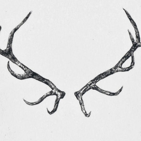 Рога на прозрачном фоне