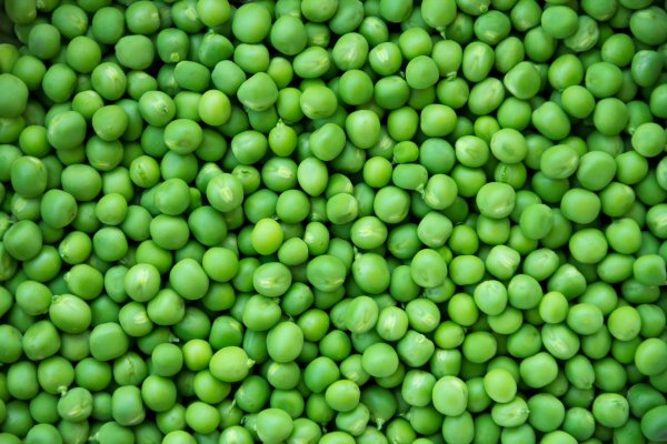 Green Peas горошек