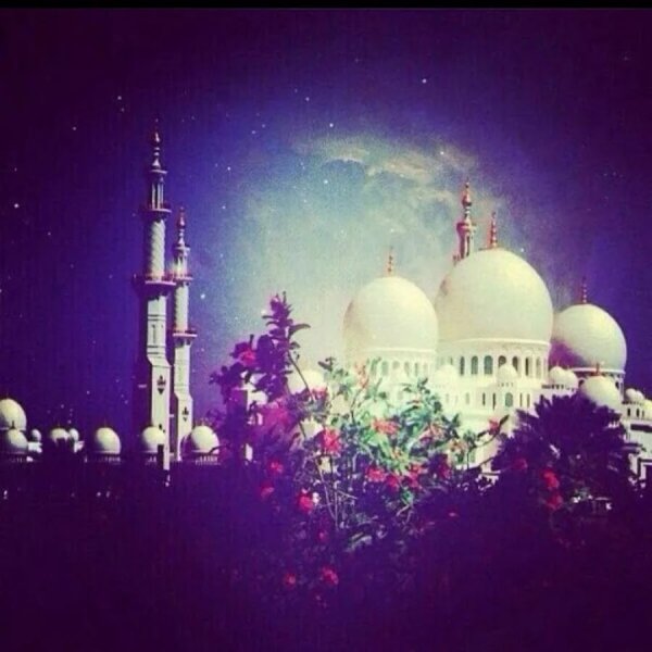 Девушки в хиджабе с надписями