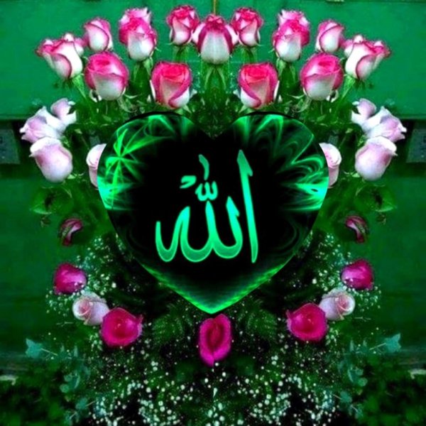 Мечеть шейха Зайда ночью