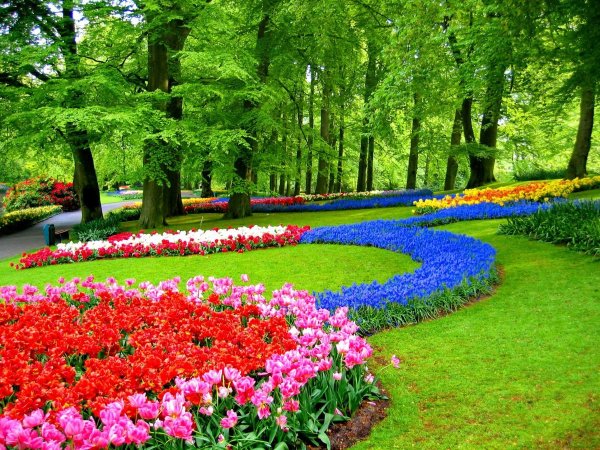 Keukenhof Gardens