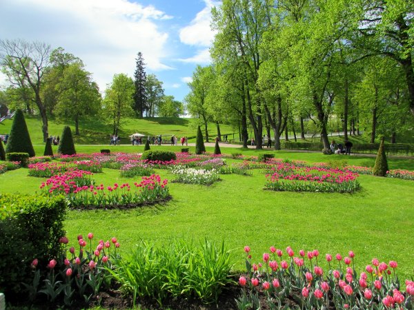 Петергоф сад Весна