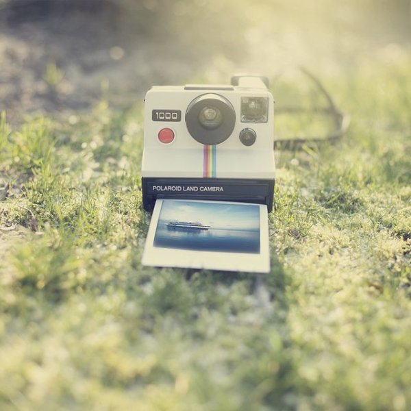 Polaroid 361d