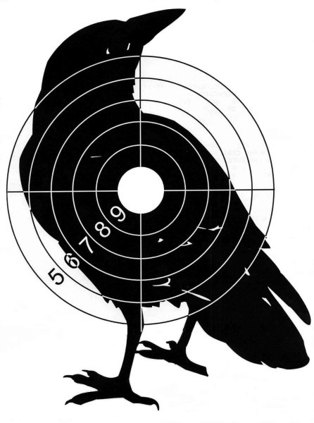 Мишень для стрельбы а4 во весь лист