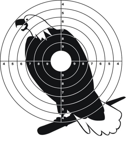 Мишень для мелкашки на 100 метров а4