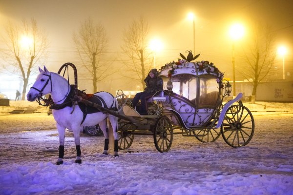 Зимняя карета