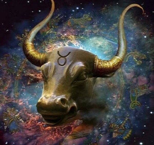 Телец Taurus