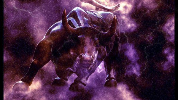 Телец Taurus