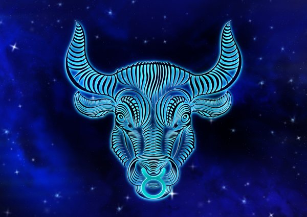 Бык Телец Taurus знак зодиака