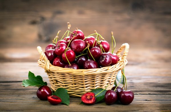 Вишня Уральская Черешенка