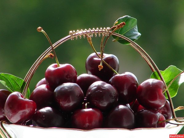 Вишня ред черри