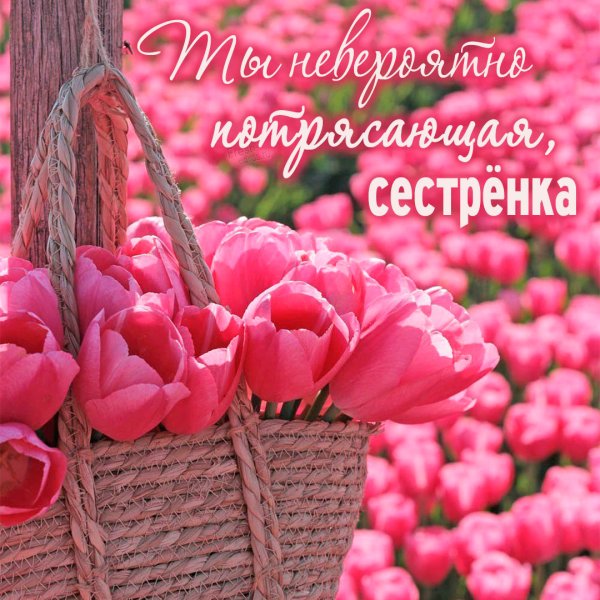 С днём рождения сестра