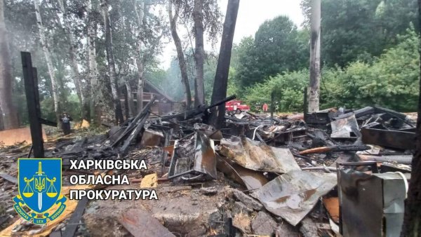 Низовой Лесной пожар березы
