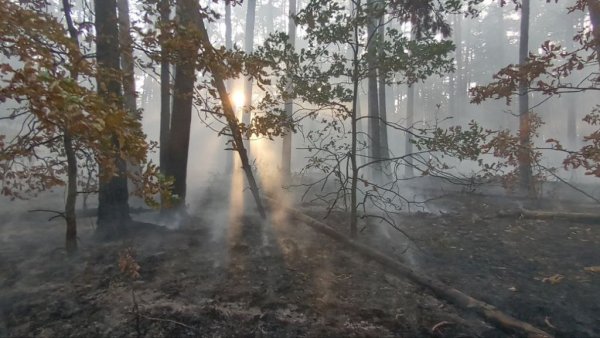 Денежкин камень пожар