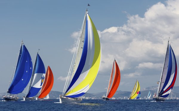 Разноцветные яхты
