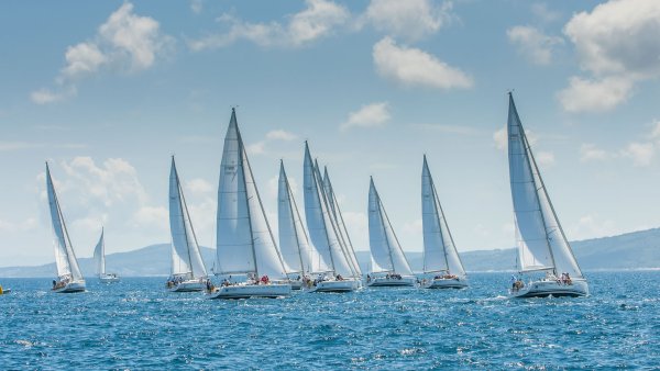 Парусная регата швертботы