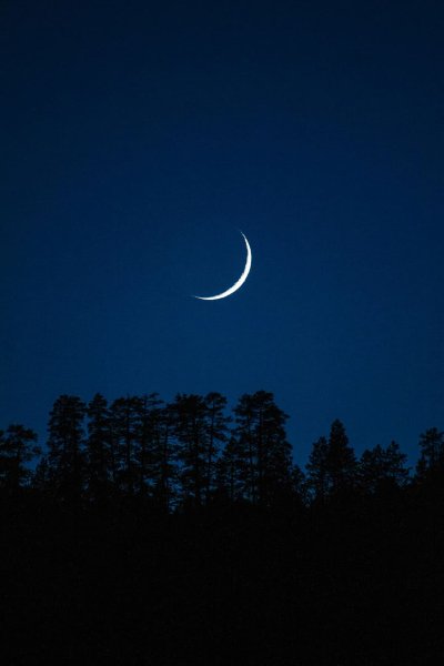 Ночь месяц