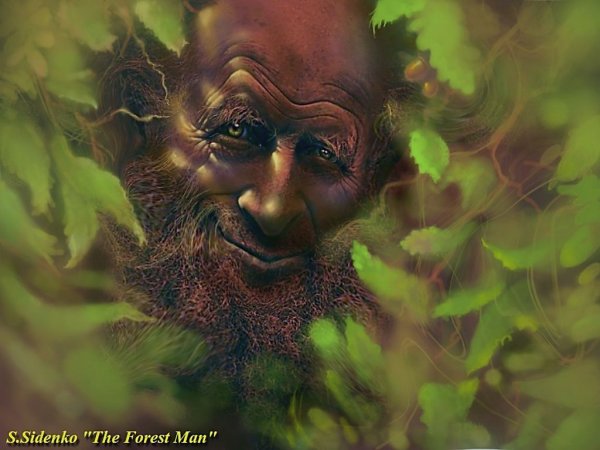 Лысый Леший