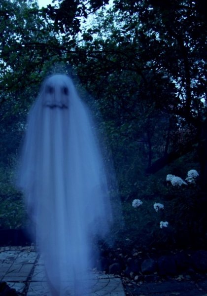 Блуждающий призрак – Рейф