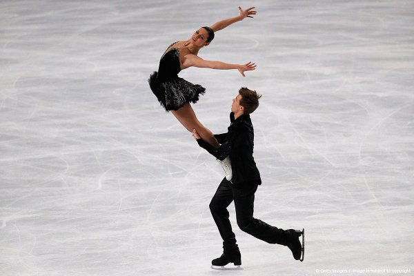 Ильиных и Кацалапов черный лебедь