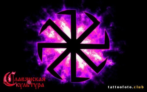 Коловрат фиолетовый