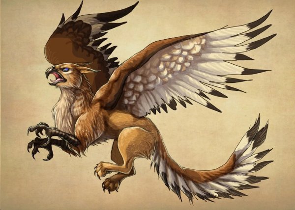 Драконы Darenrin