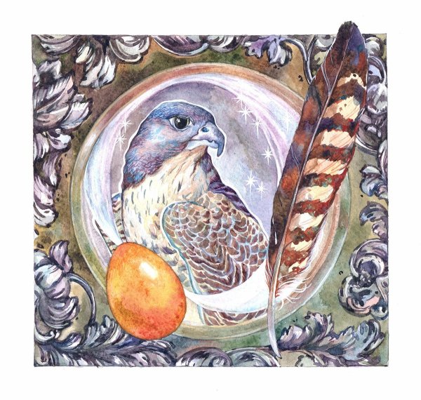 Финистер Ясный Сокол сказка