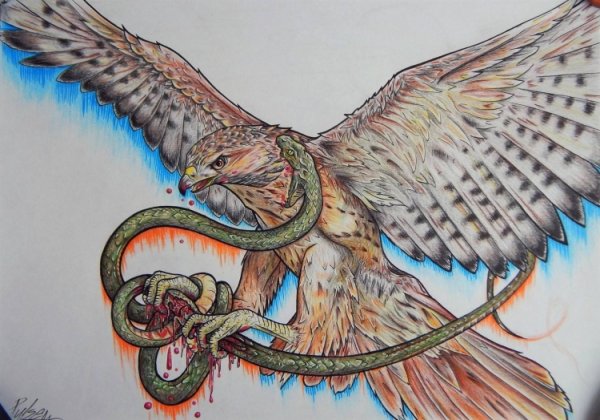 Рисунок Финиста ясного Сокола в маленьком виде