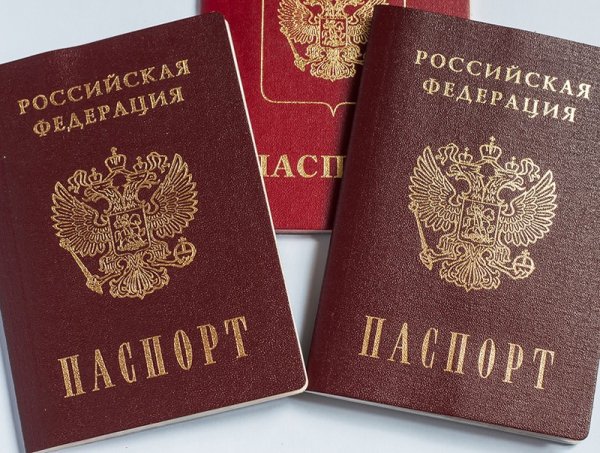 Картинки паспорт (44 фото)