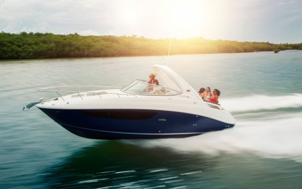 Sea ray 280 Sundancer каюта