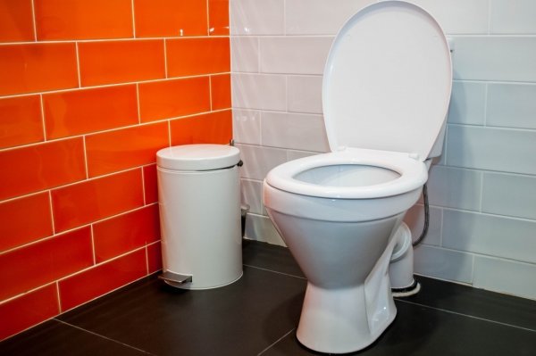 Унитаз в квартире