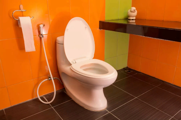 Унитазы в Америке