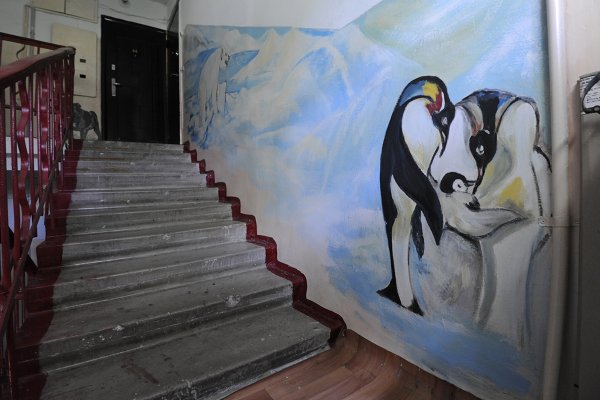 Рисование на стенах в подъезде