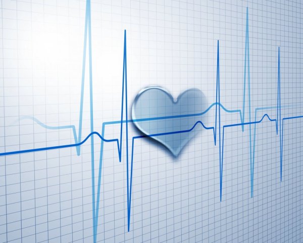 ЭКГ сердца