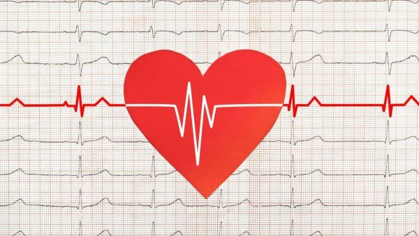 Кардиограмма сердца детям