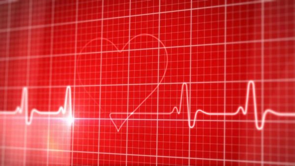 Красивое ЭКГ