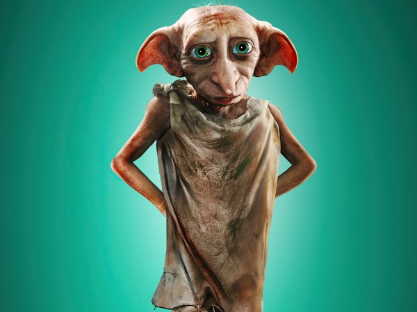 Гарри Поттер Добби и Кикимер