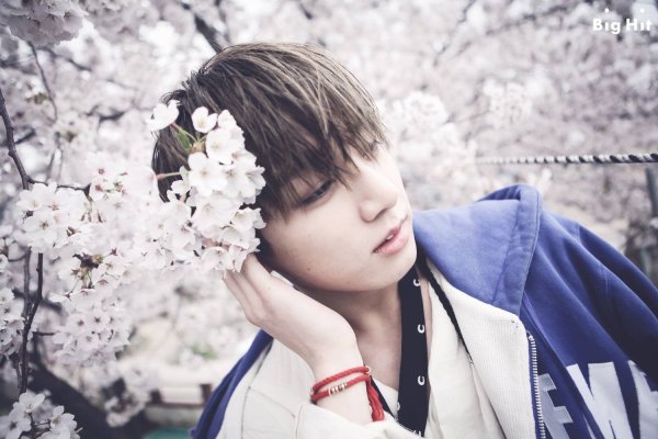 BTS HYYH pt 1