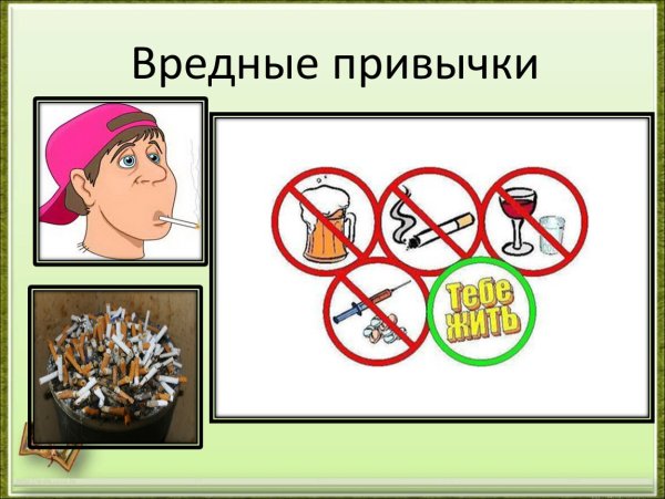 Плохие привычки